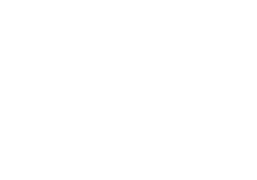 logo belvic completo